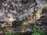 image of grave number 829518
